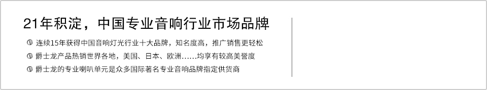 21年积淀，中国专业音响行业市场品牌